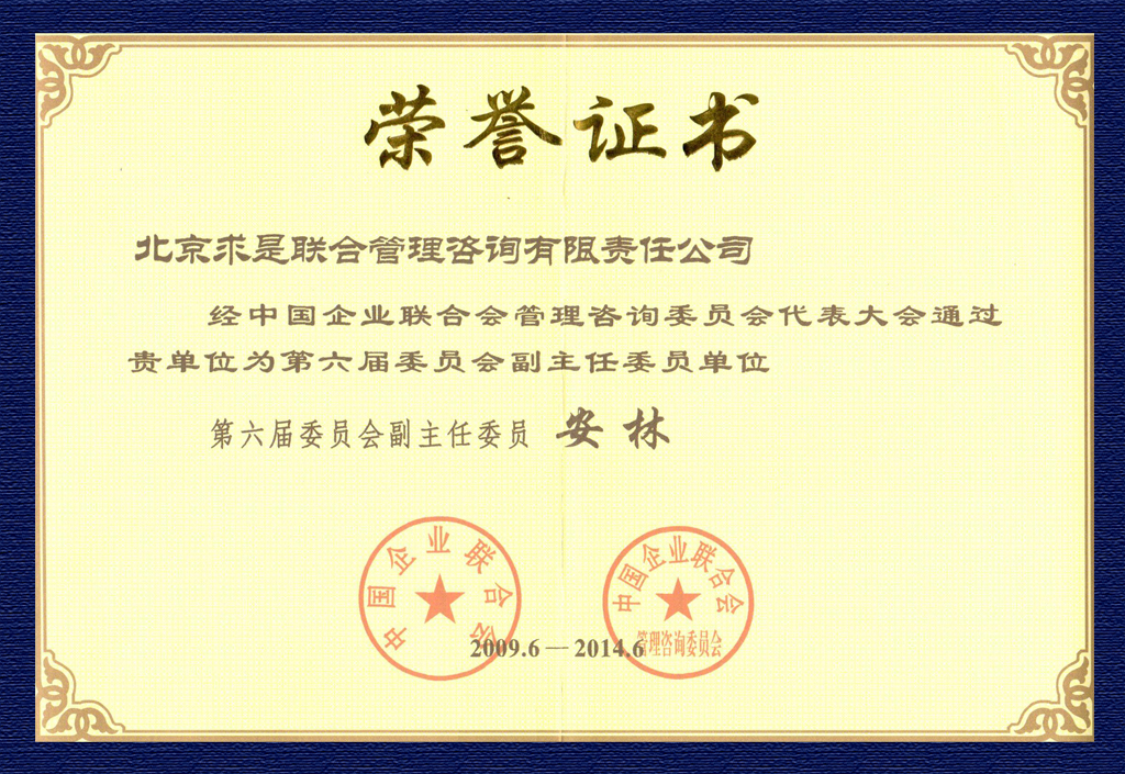 2009中國(guó)企業(yè)聯(lián)合會(huì)管理咨詢委員會(huì)副主任委員榮譽(yù)證書