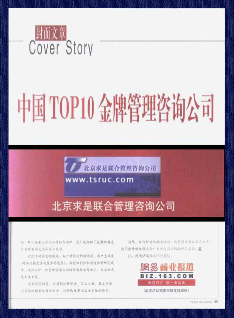 2004年中國(guó)TOP10金牌管理咨詢公司
